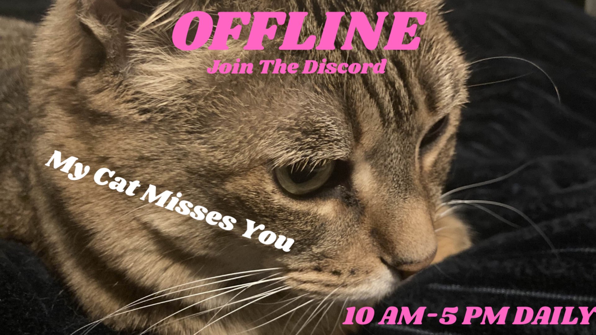 Fenanigans banner