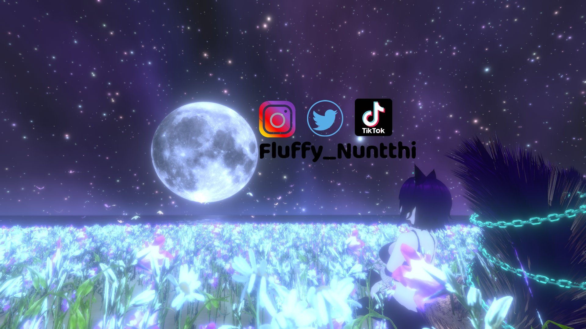 Fluffy_Nuntthi banner