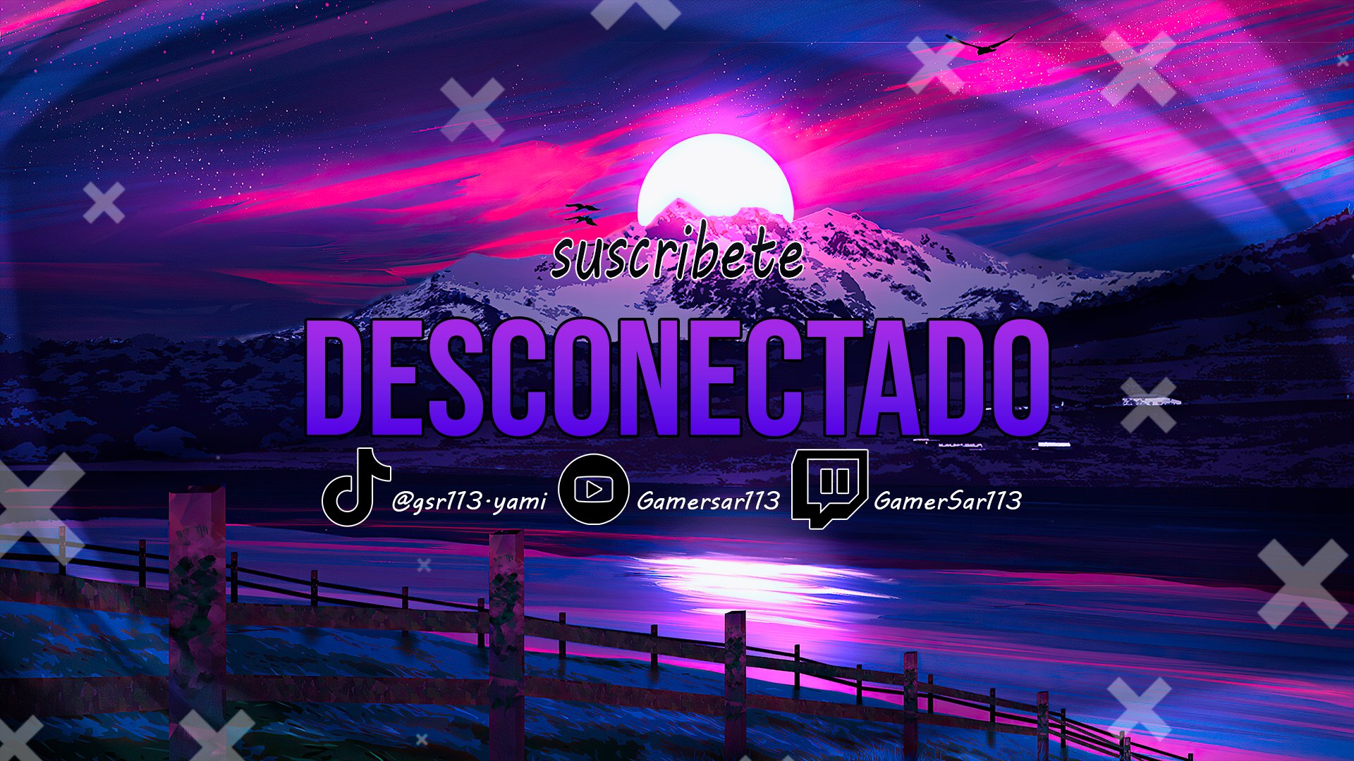 GamerSar113 banner