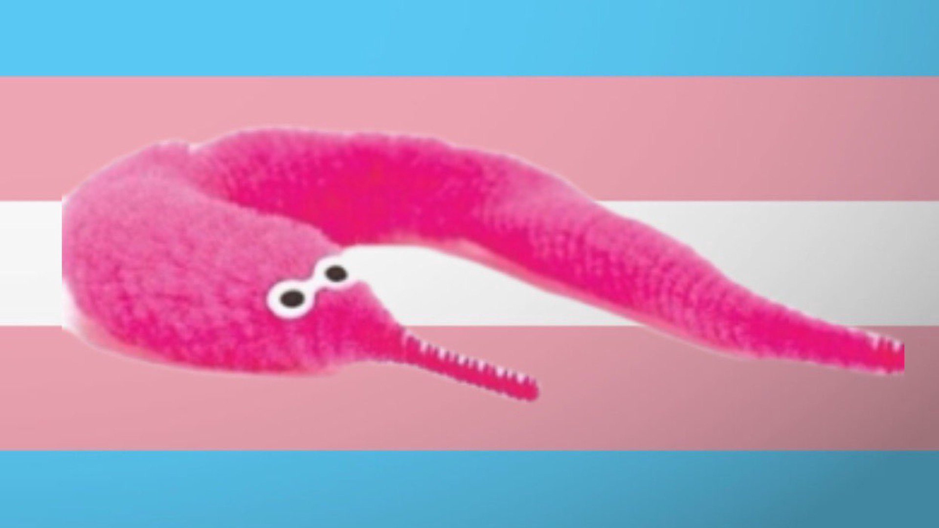 GammaSama banner