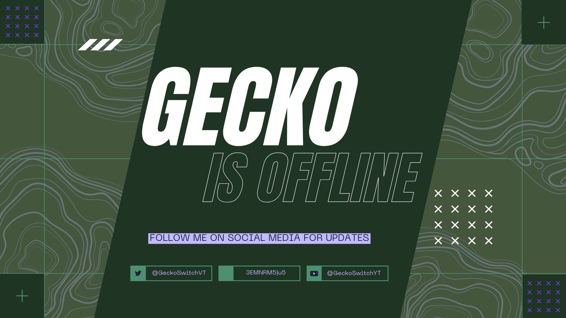 Gecko_ing banner