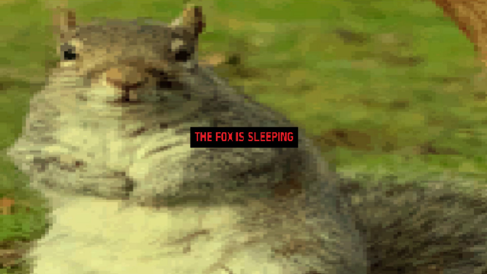Ginger_FoxxVT banner