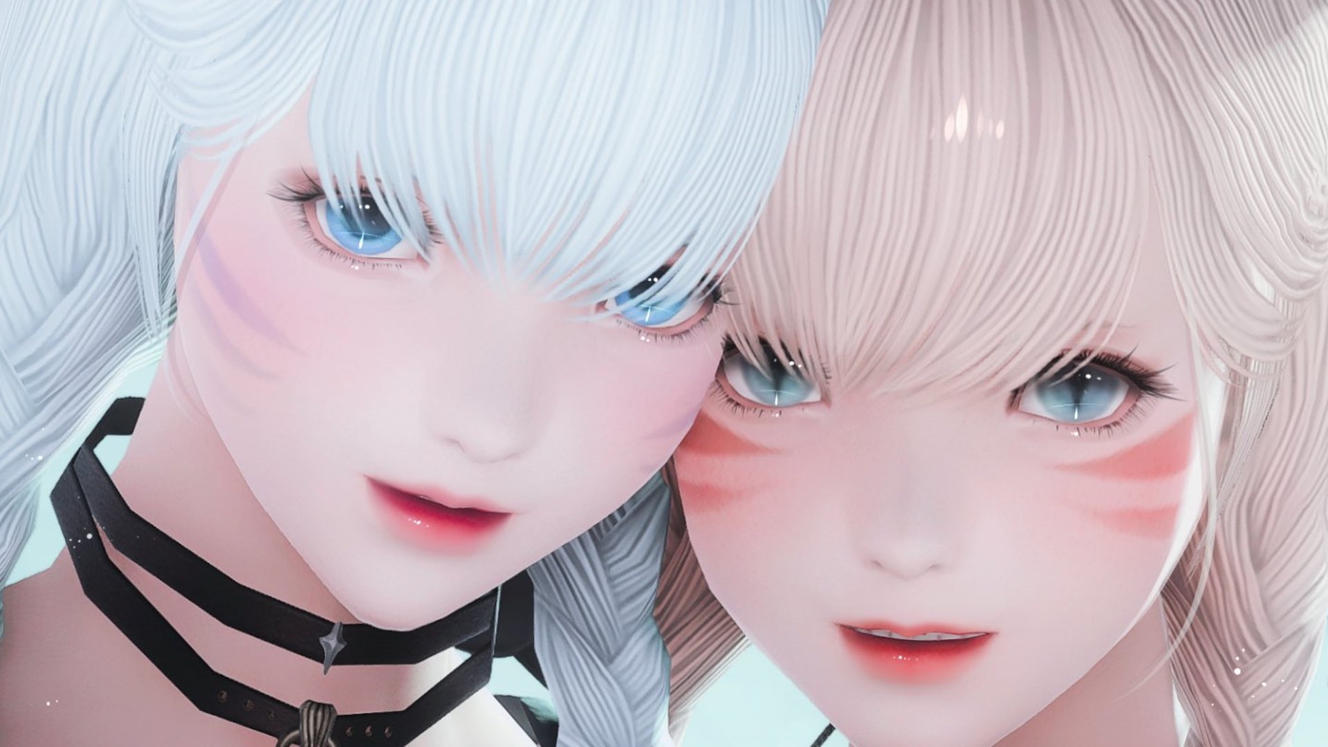 ひめきゃっと banner