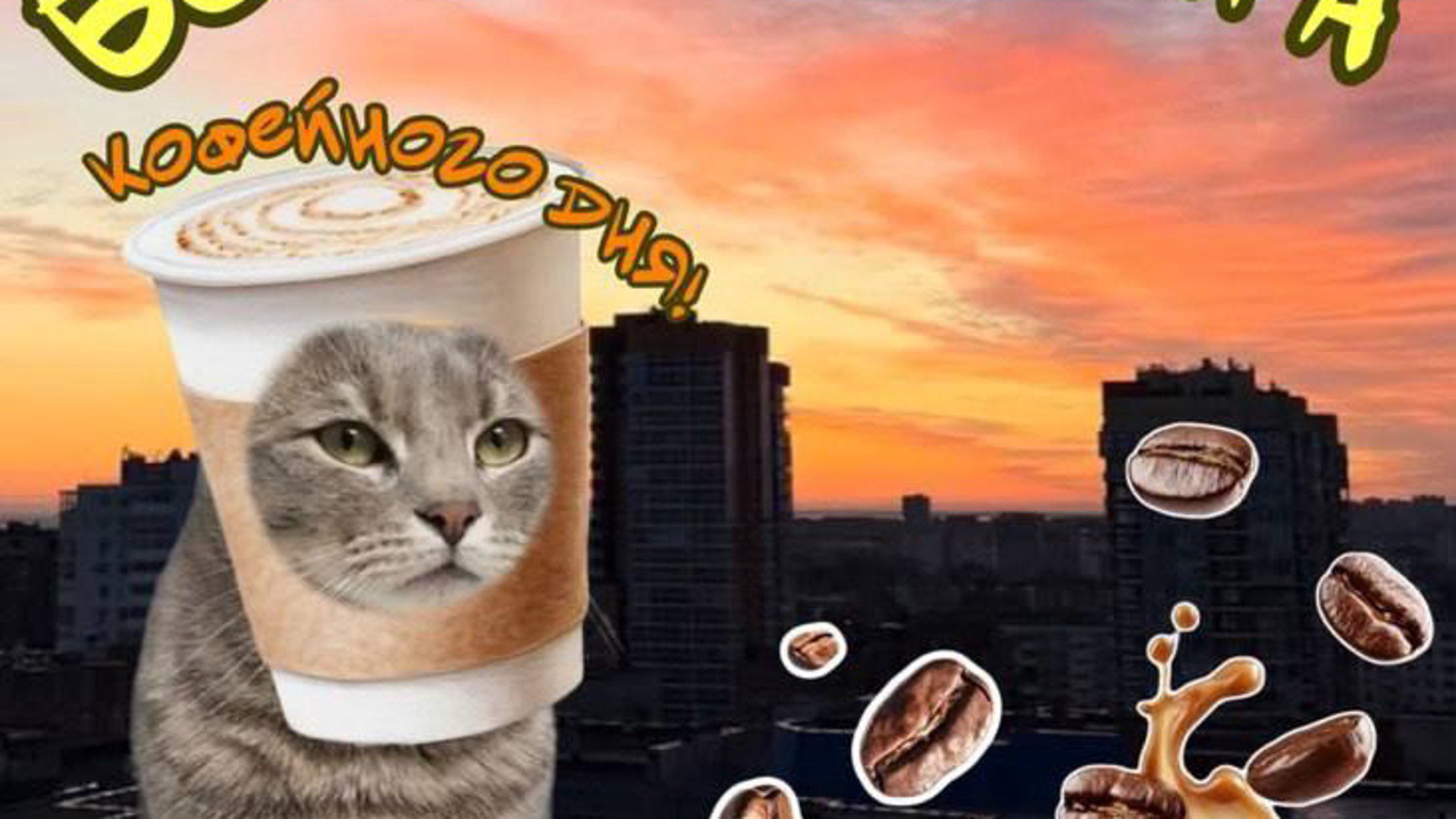 Godw1d banner