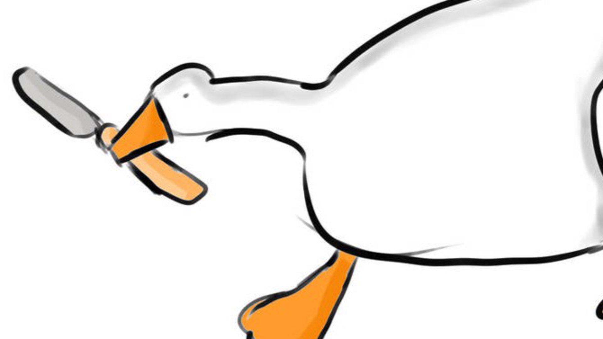 GooseGang17 banner
