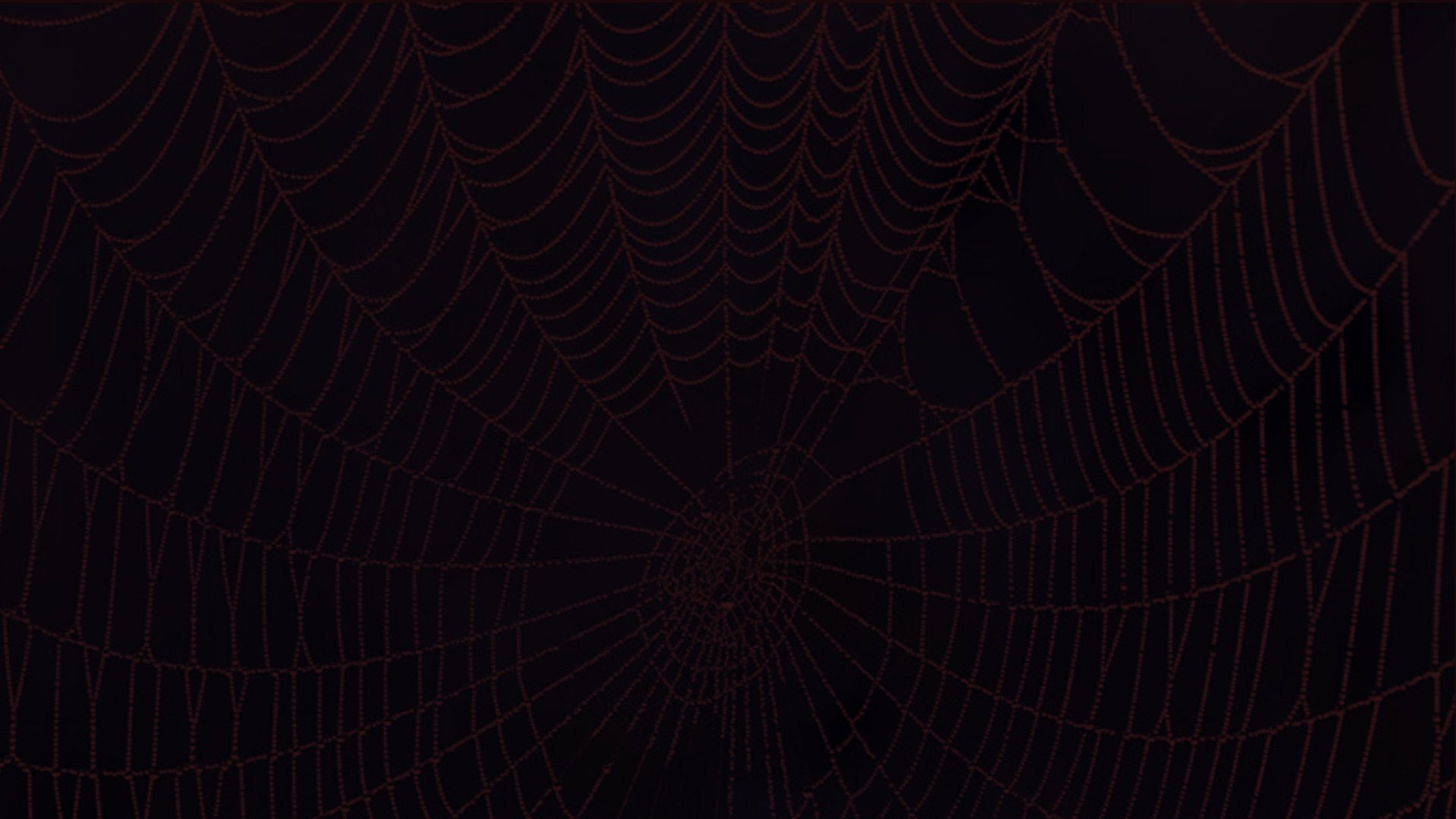 hades_the_arachne banner