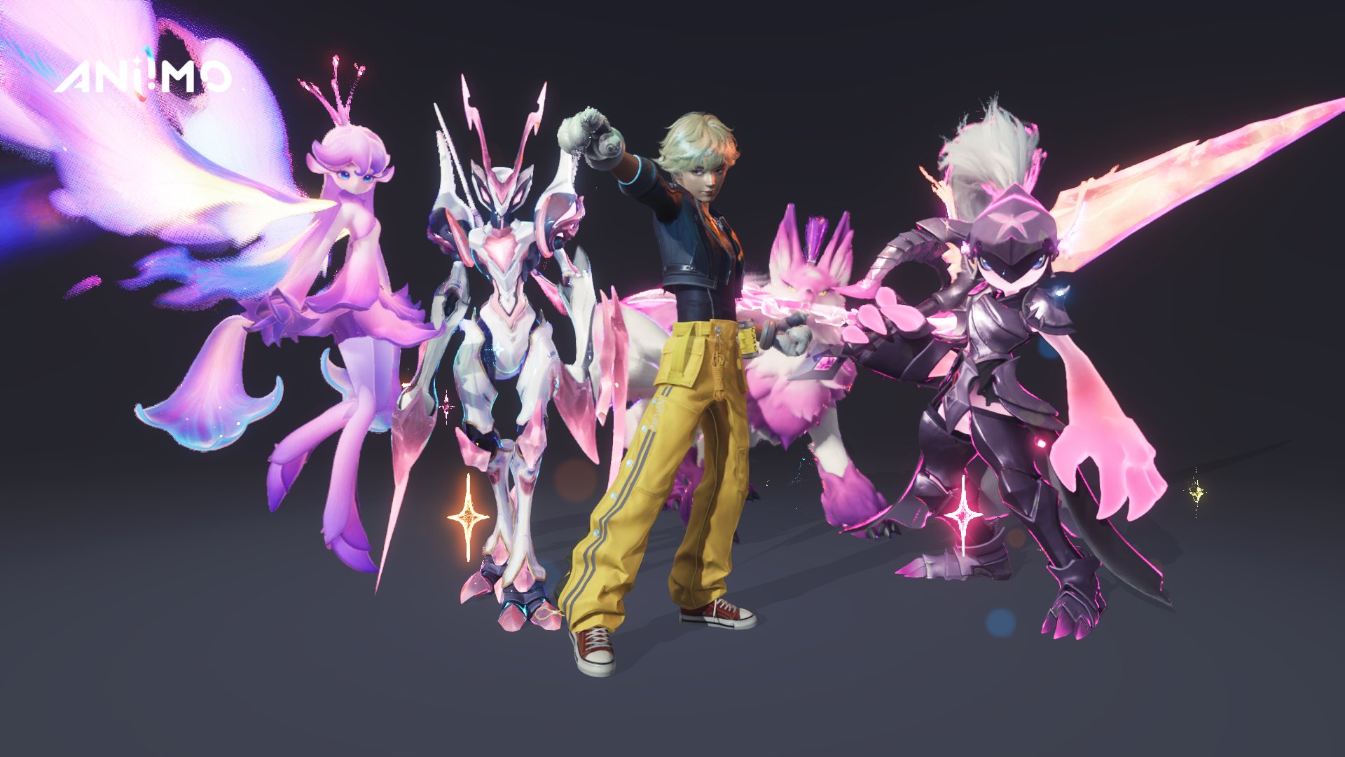 haipuu banner