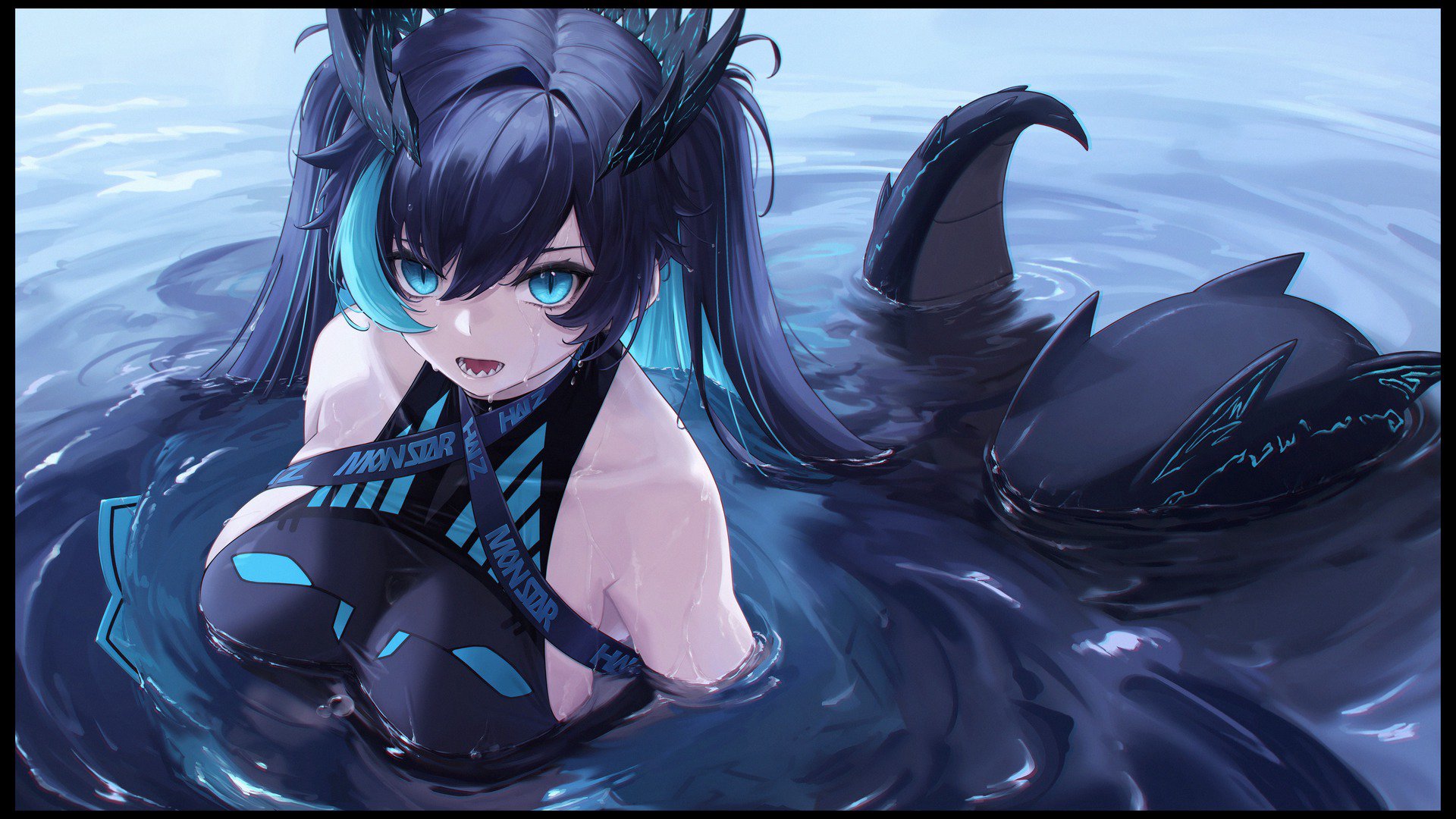 HaiZ banner