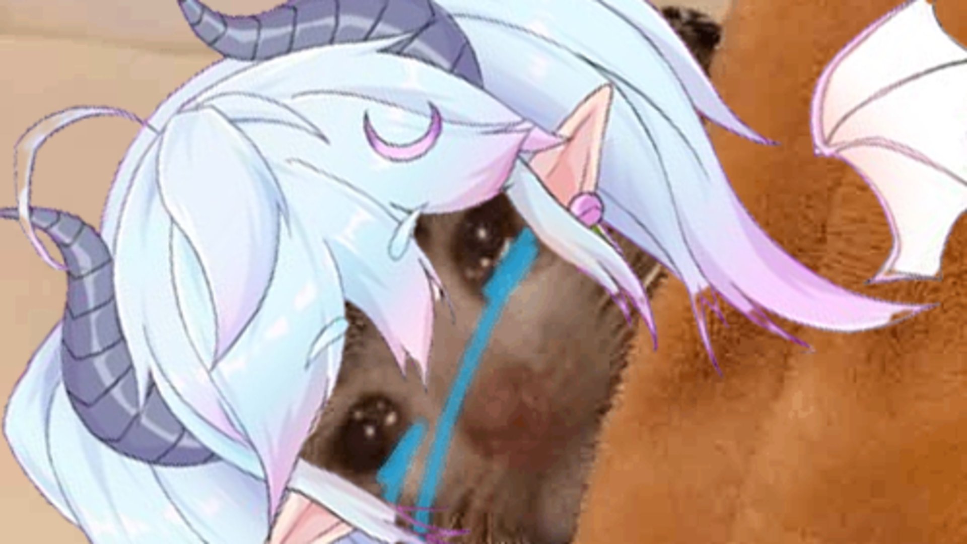 Hanakyo banner