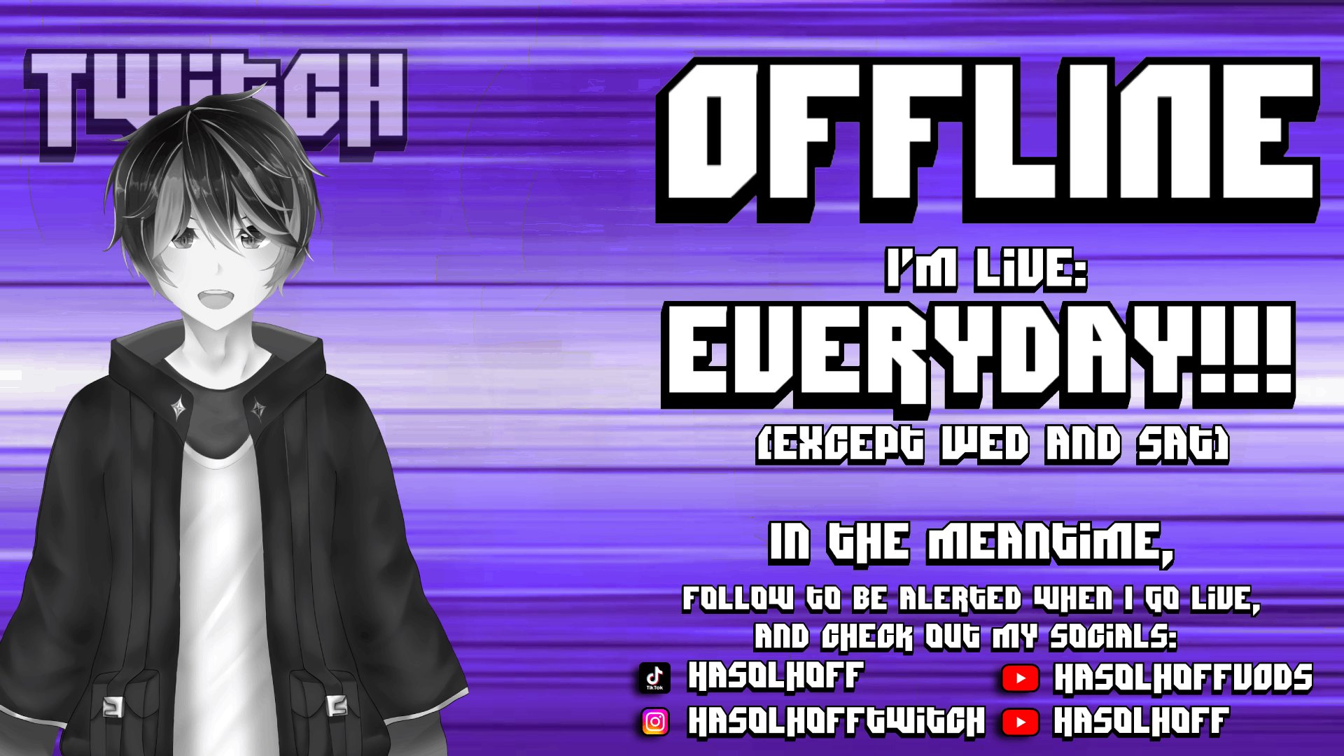 Hasolhoff banner