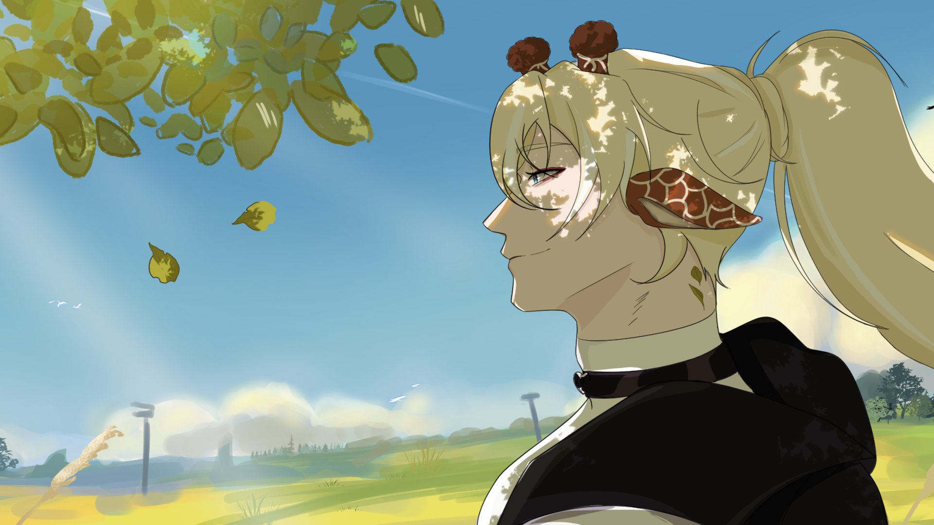 Hayden Kiri banner