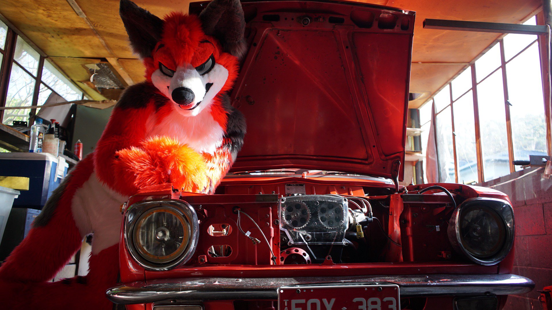 HazFox383 banner