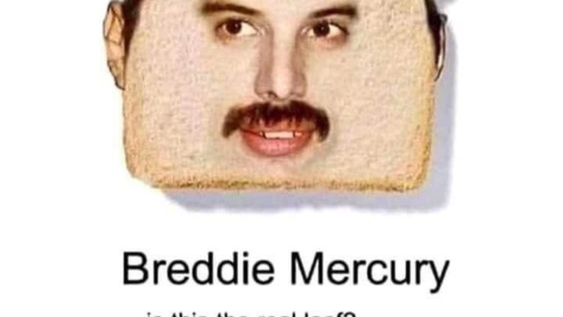 HeckMayster banner