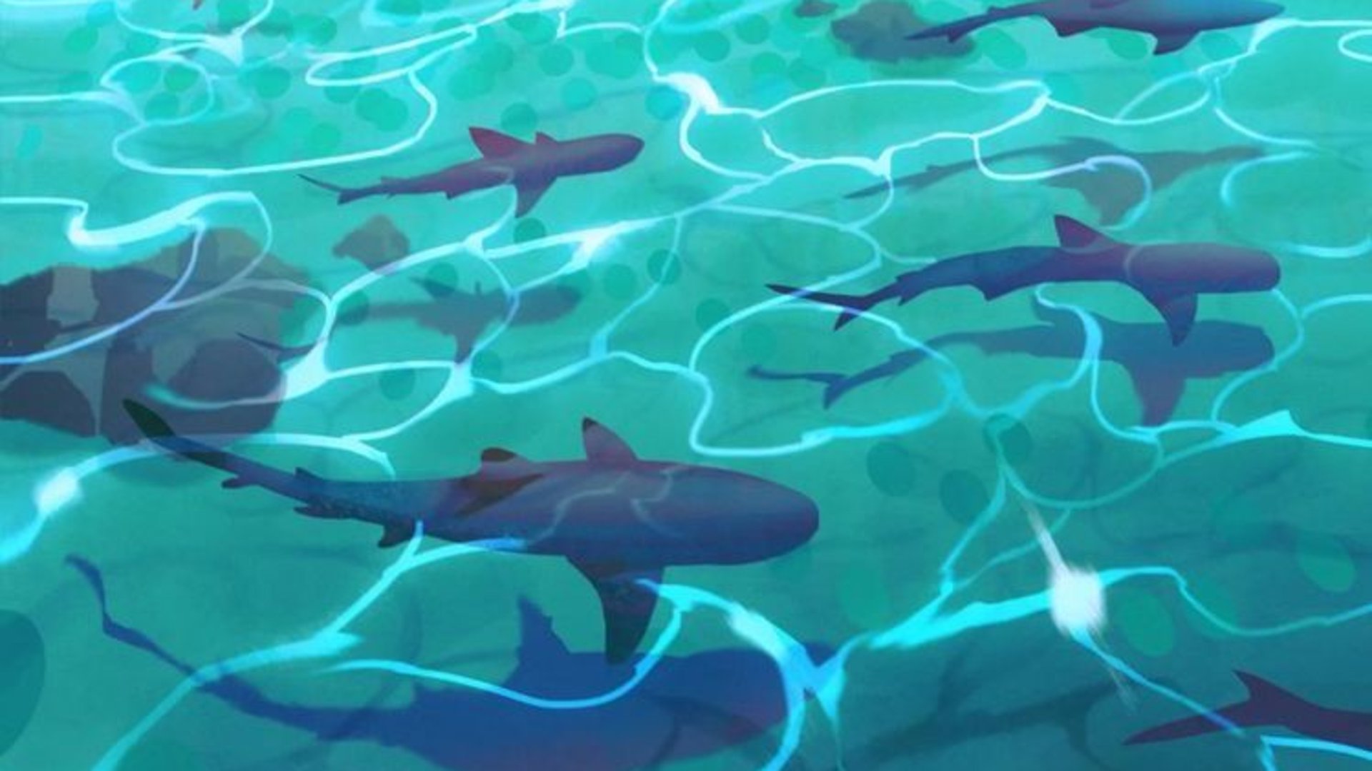 hecktic_shark banner