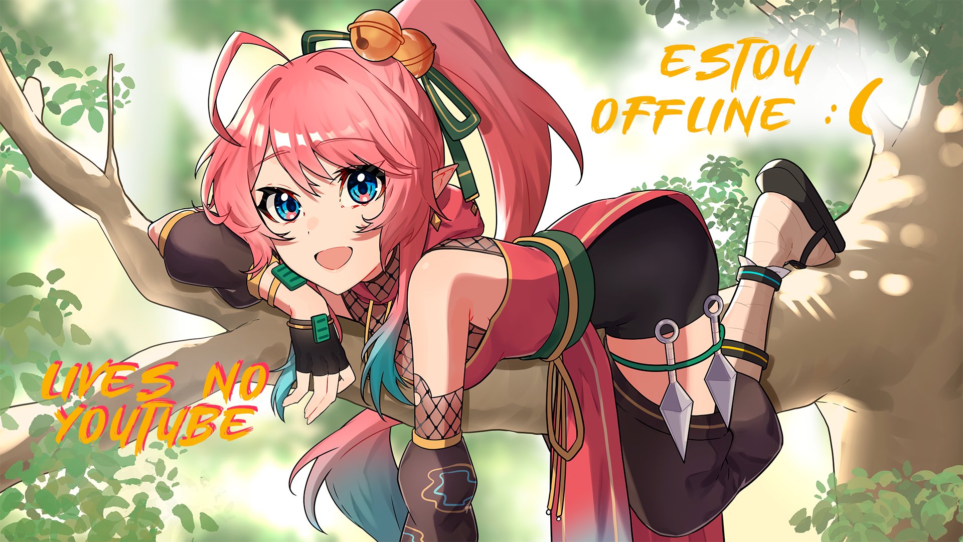 Hibiscoito banner
