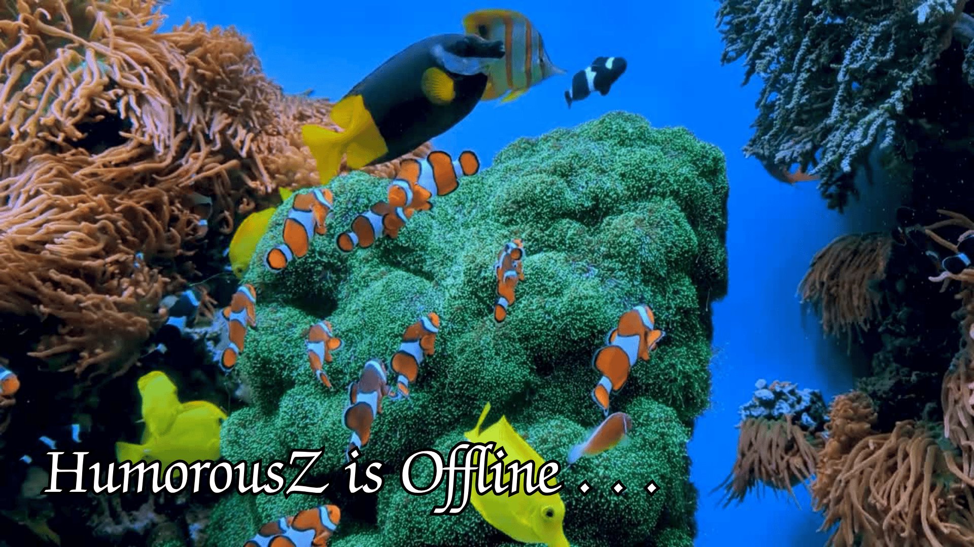 HumorousZ banner