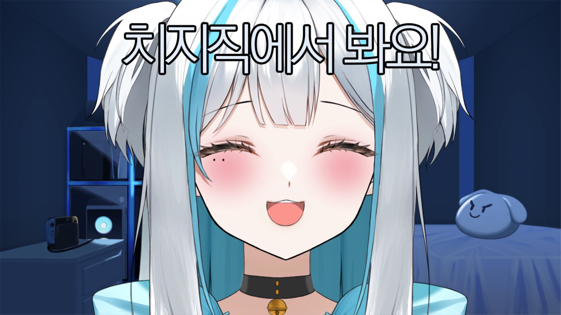 NYARU banner