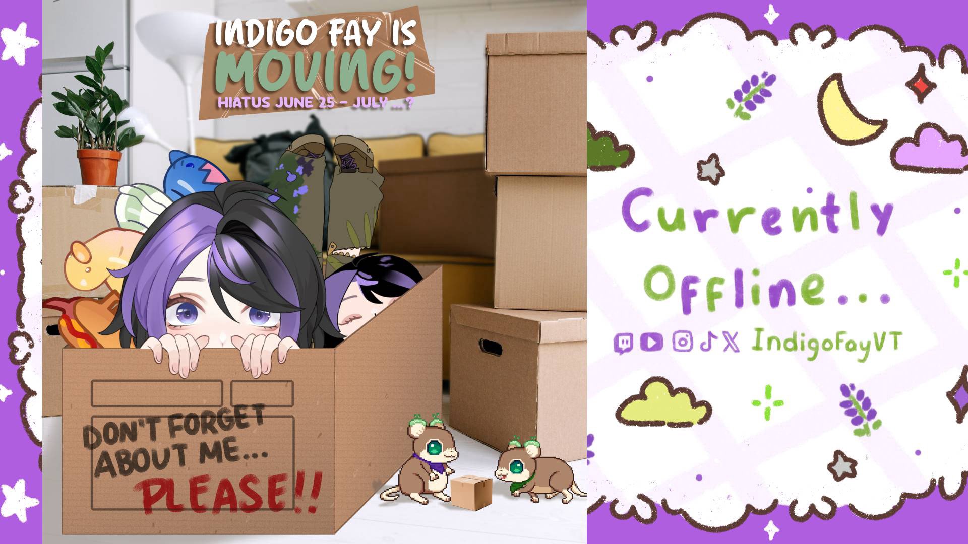 IndigoFayVT banner