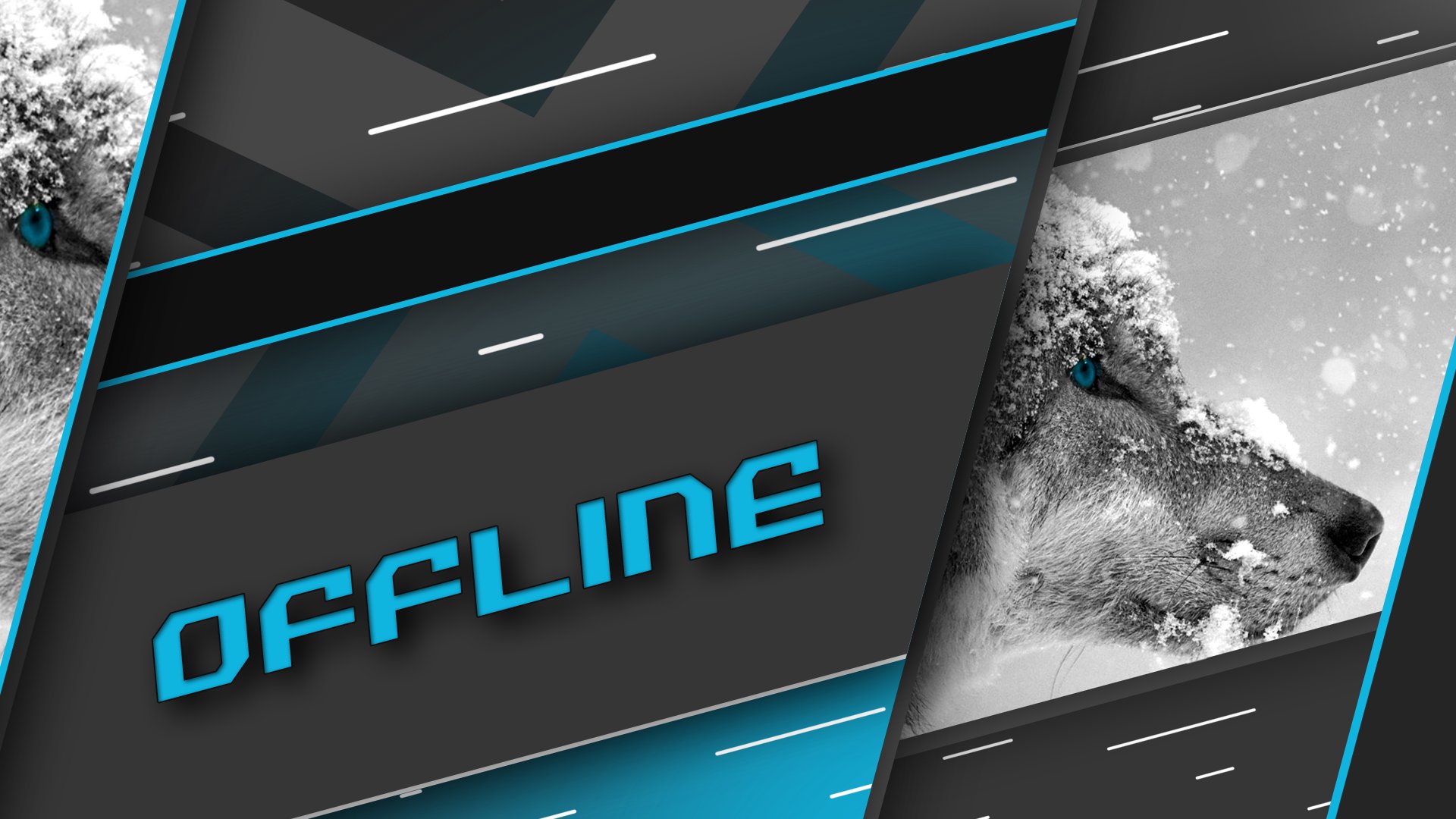 IrukuFluffball banner