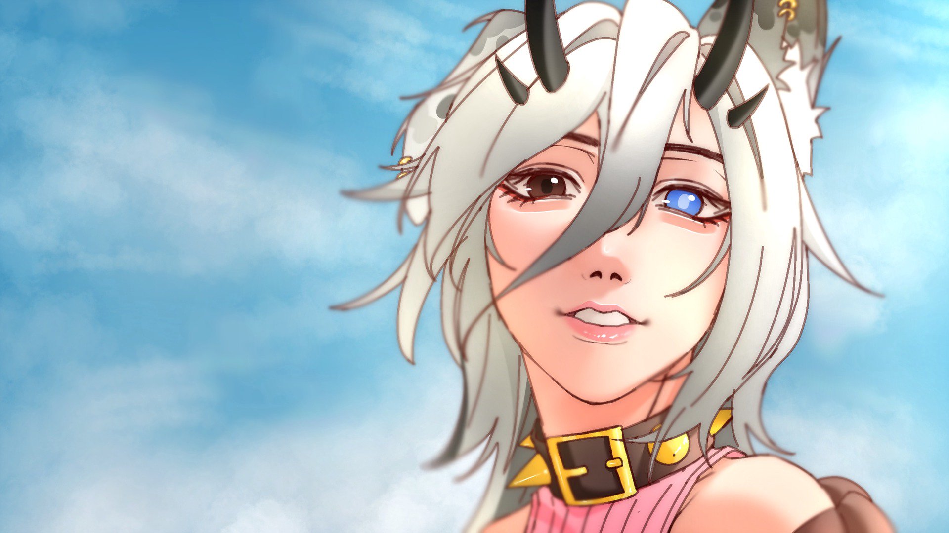 Heiri banner