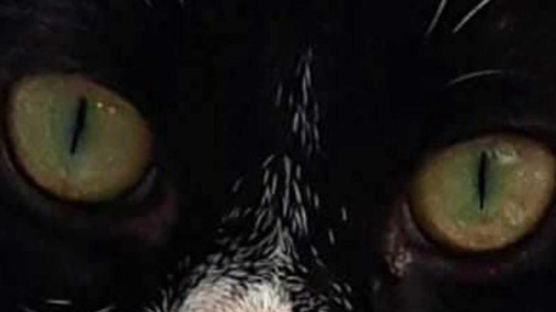 Itsumi456 banner