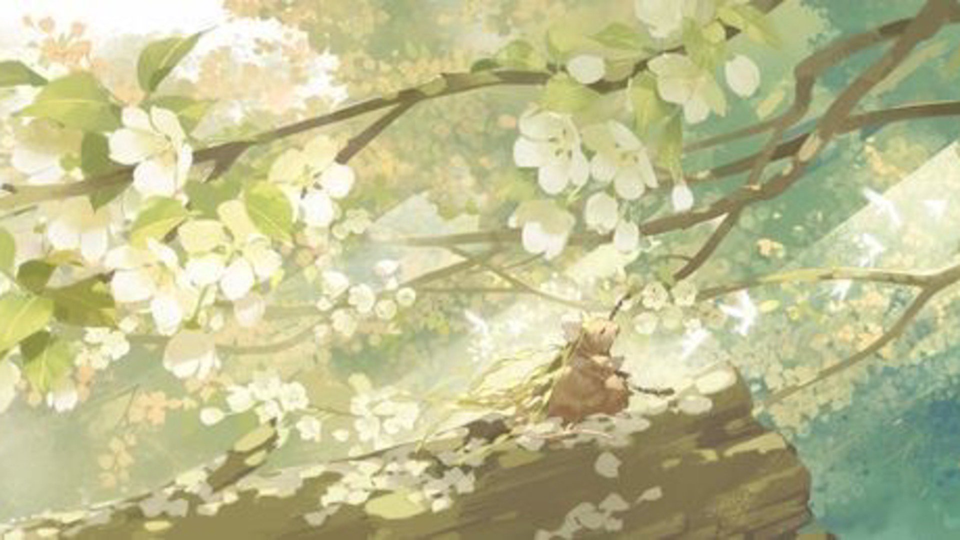 iyummitv banner