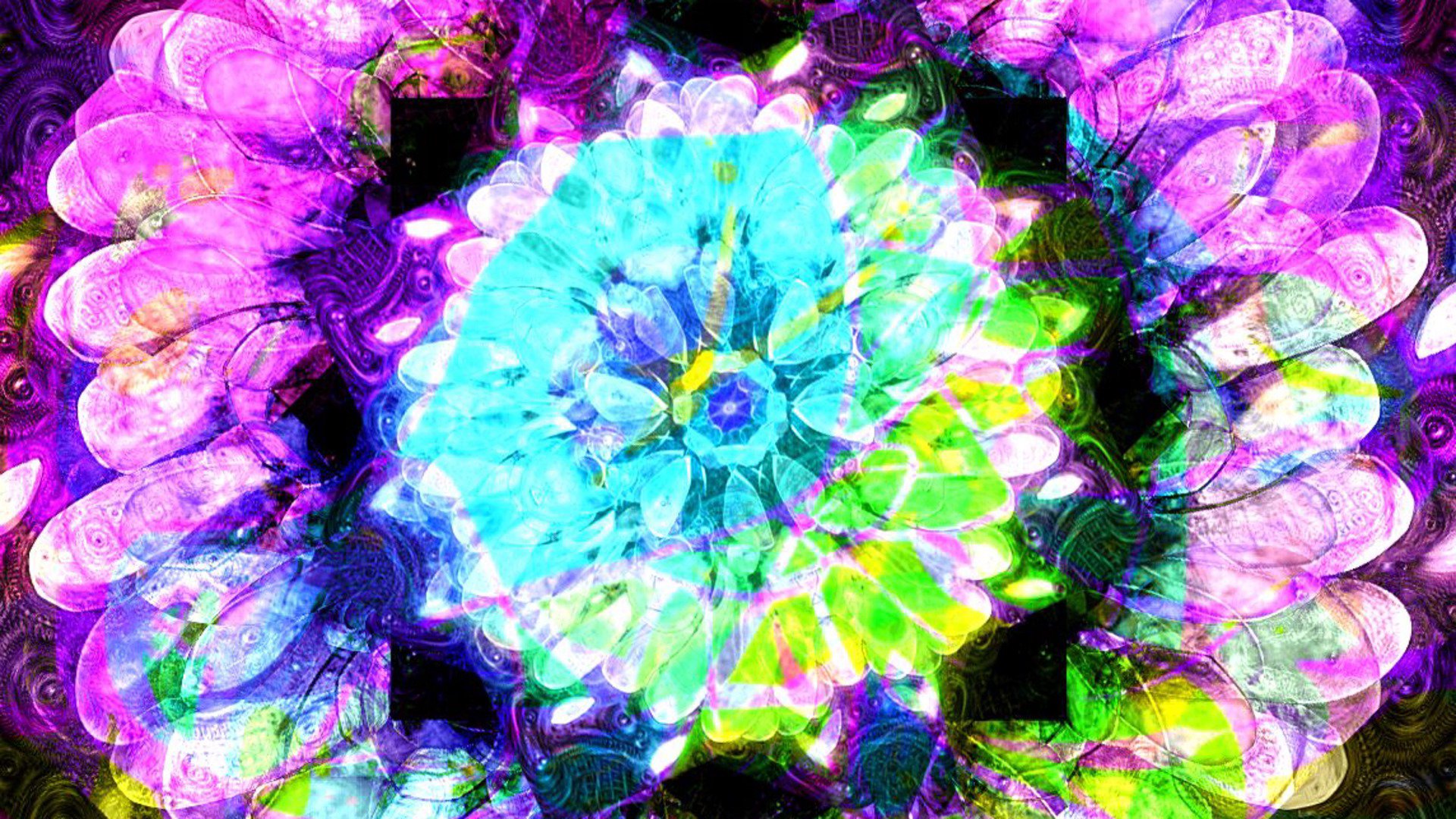 JellyBearTV banner