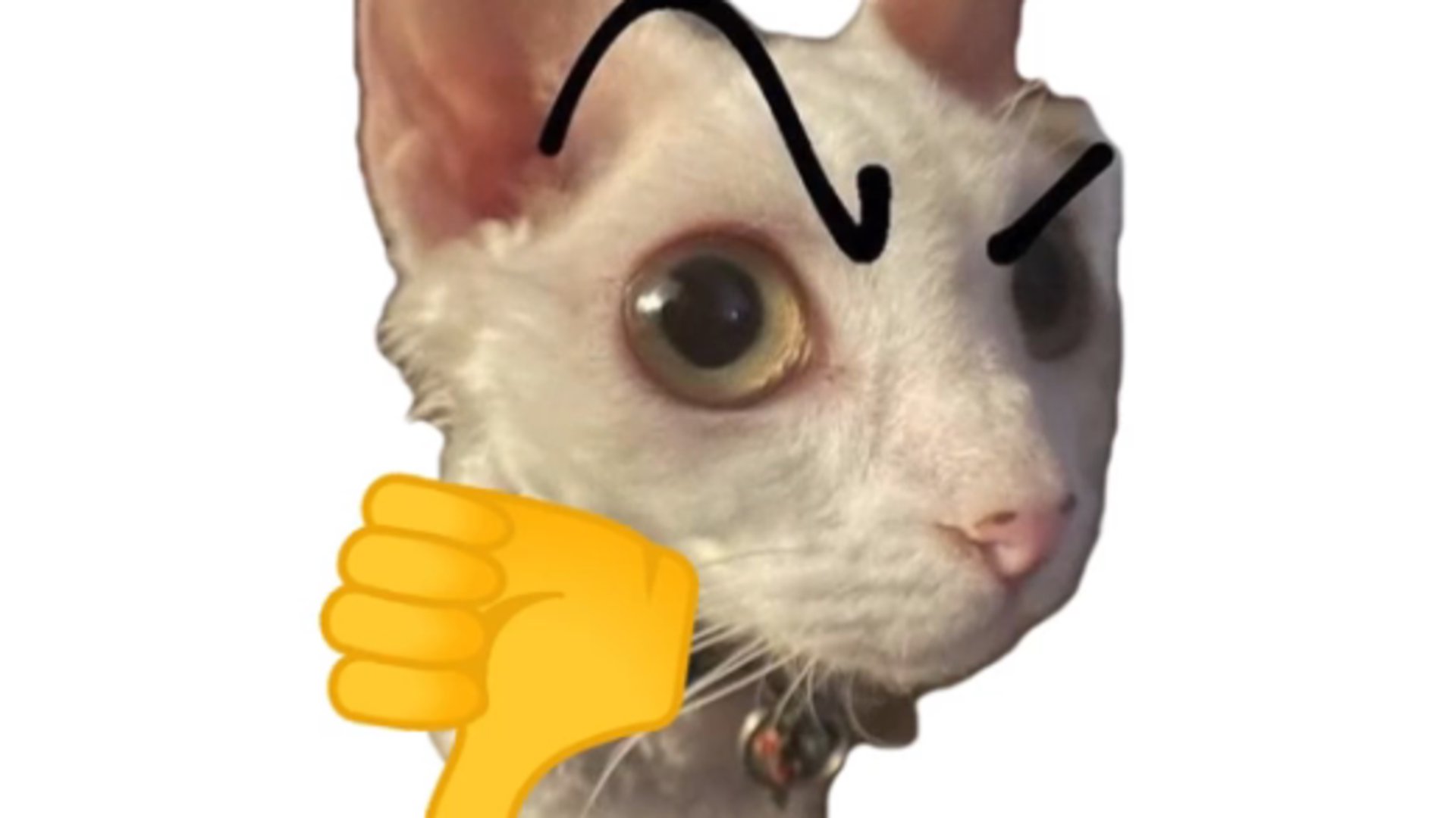 jjmcmuffies banner