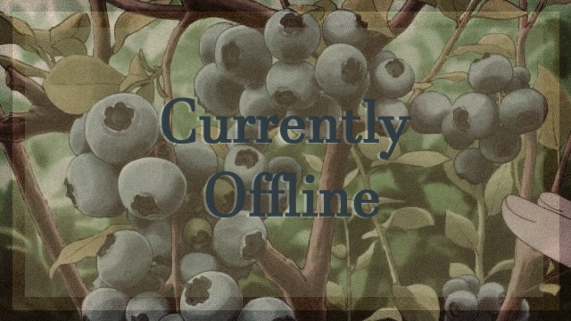 juniperoats banner