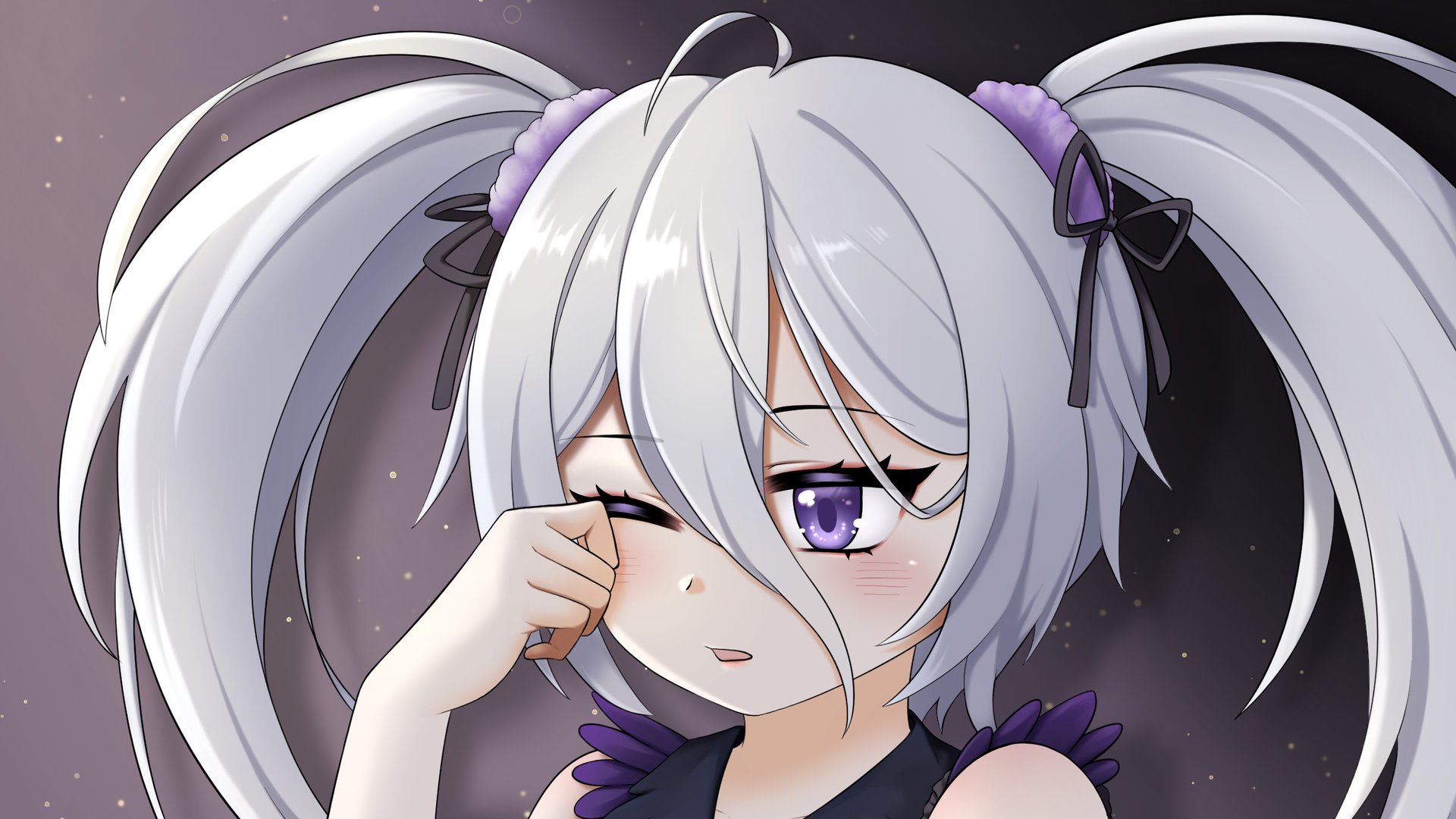 kabocia banner