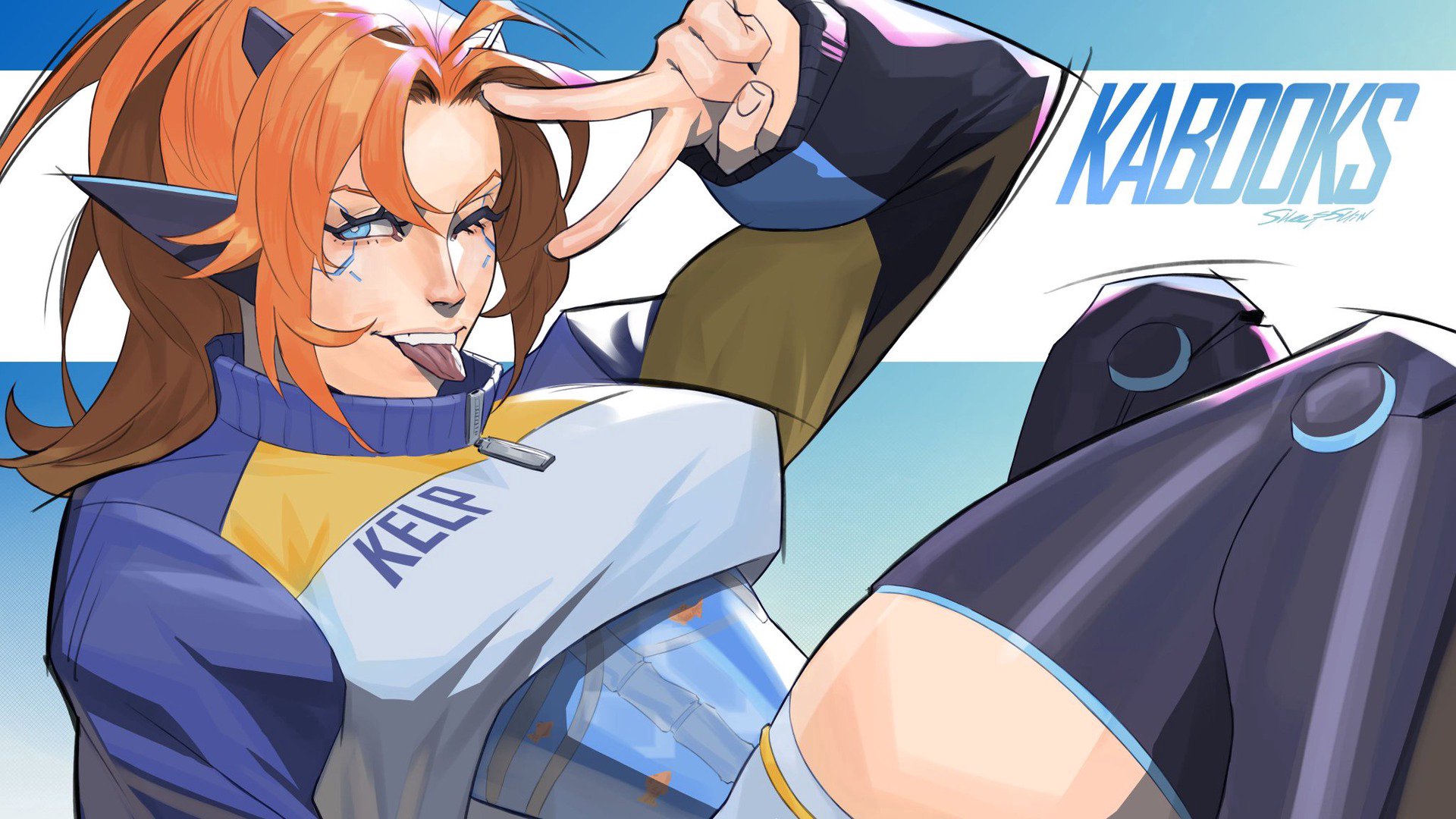 kabooks banner