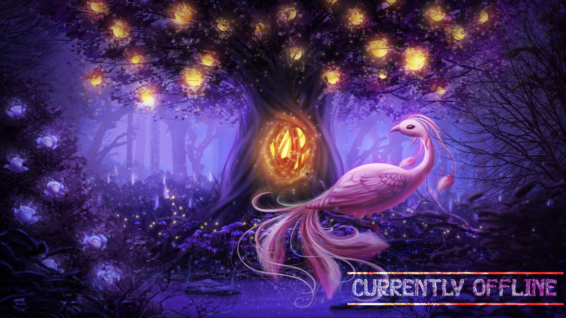 KaiaRain_ banner