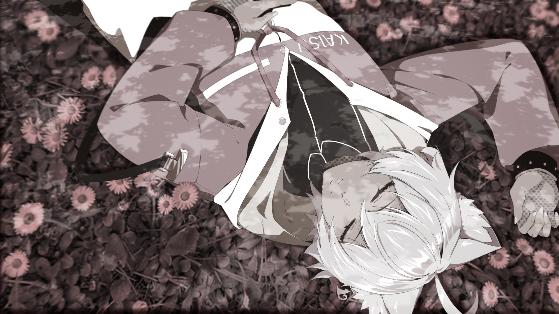 Kaisukae banner