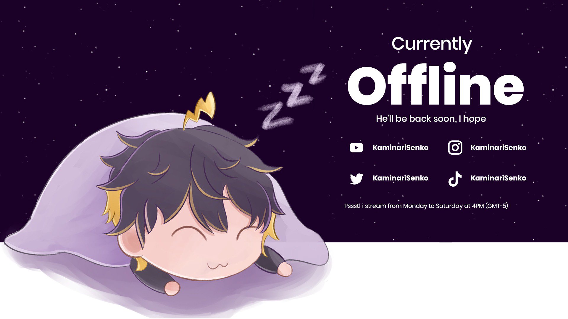 KaminariVT banner