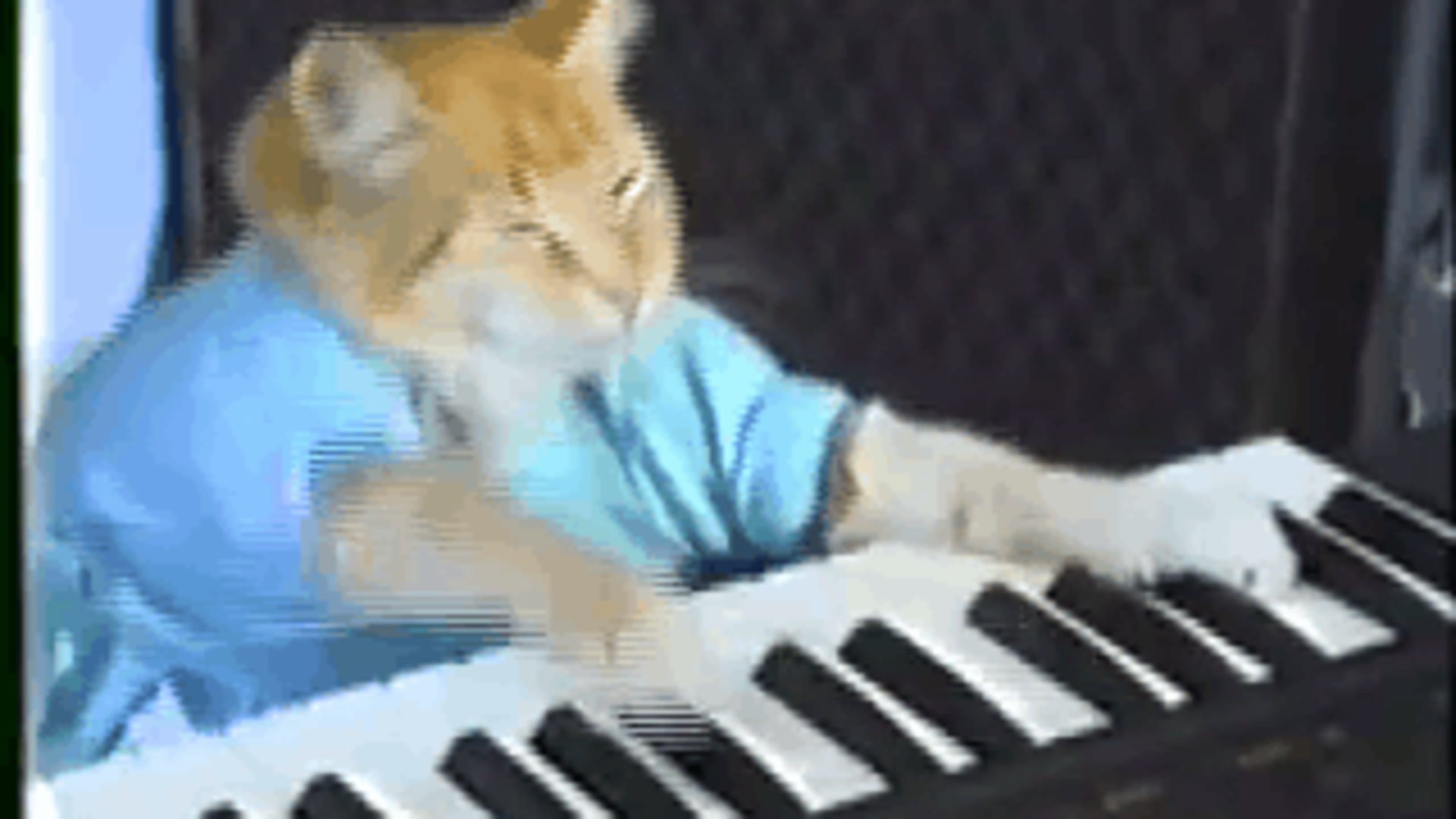 Kat0sh banner