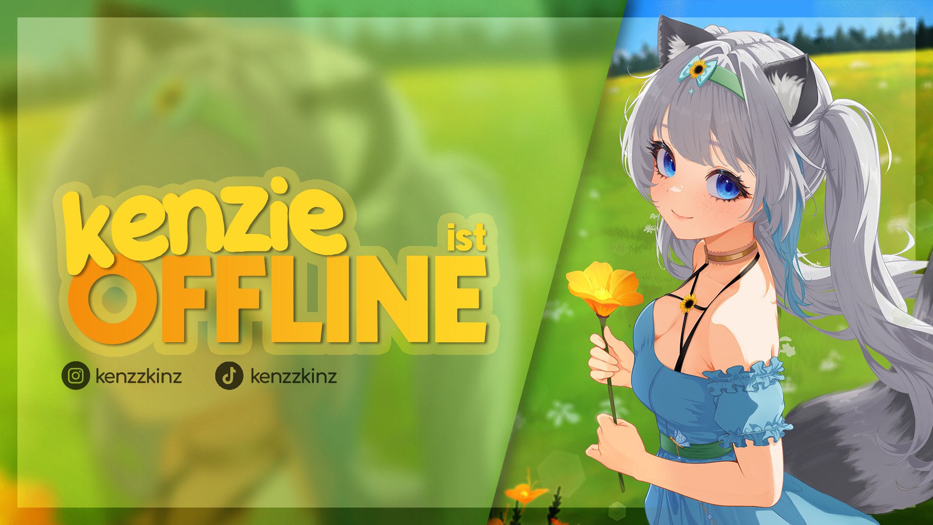 kenzie banner