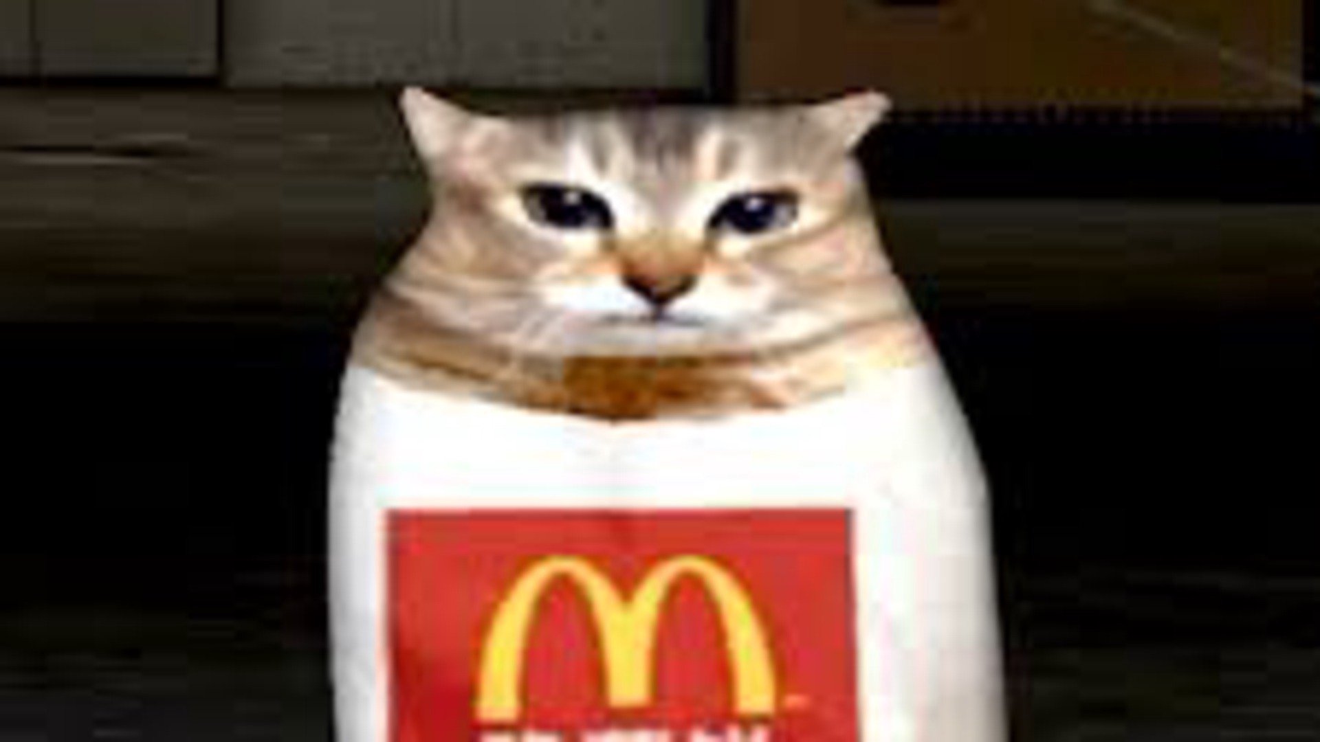 Khajiit1k banner