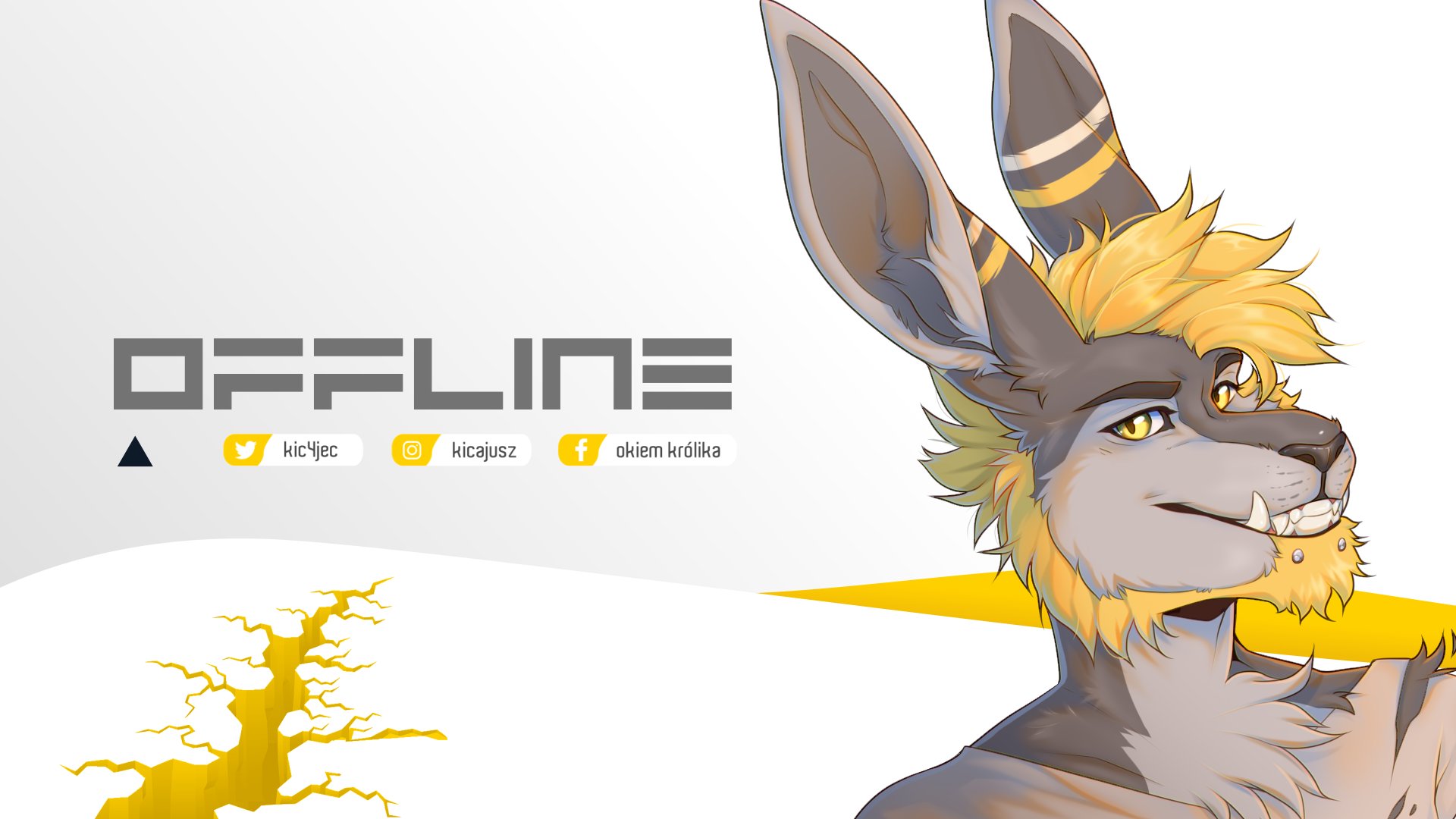 Kicajec banner