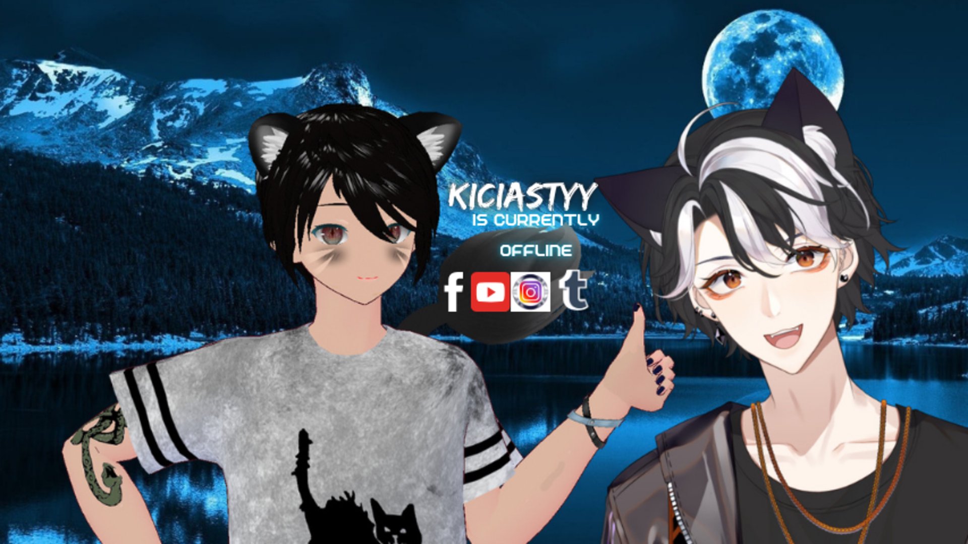 kiciastyy banner