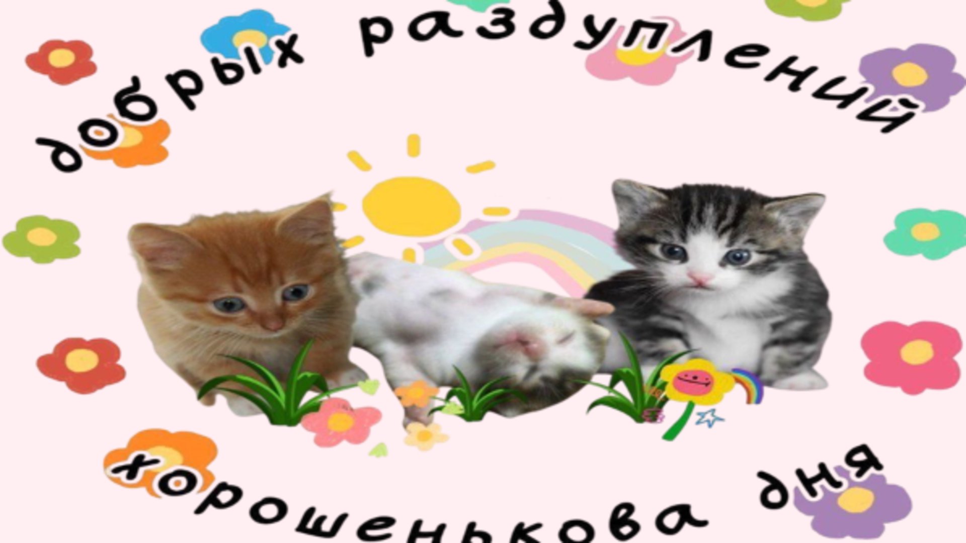 kikutok banner