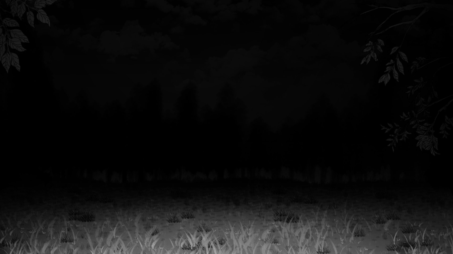 KIMISPICE banner