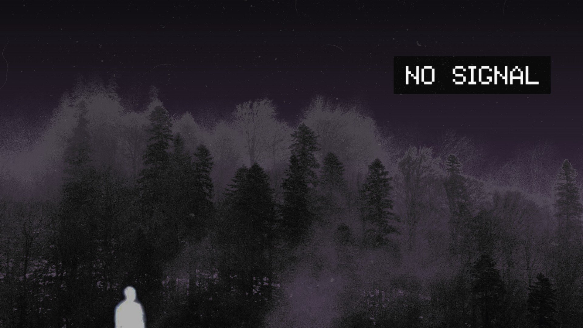 KIMISPICE banner