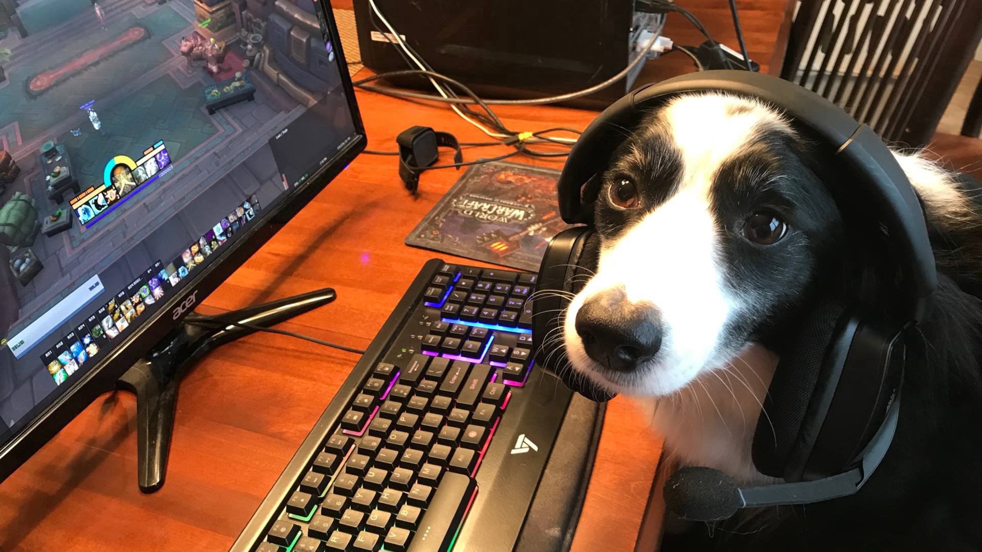 KitoriDERP banner