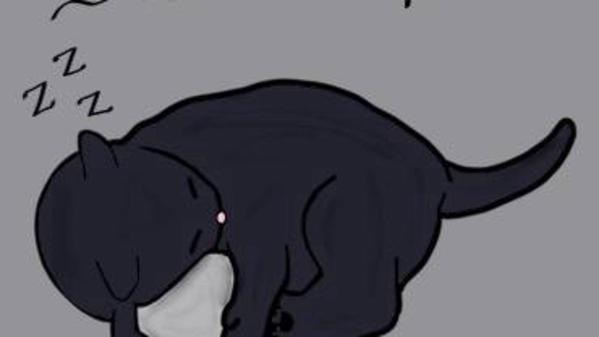 KittyPants4444 banner