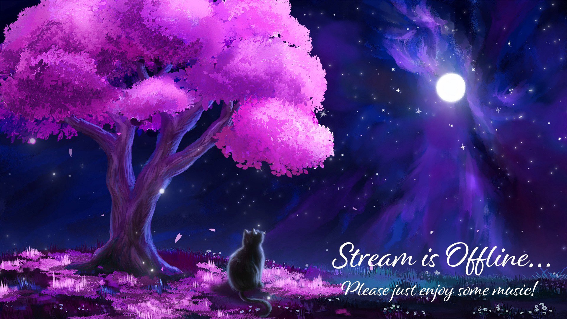 KonekoStar banner