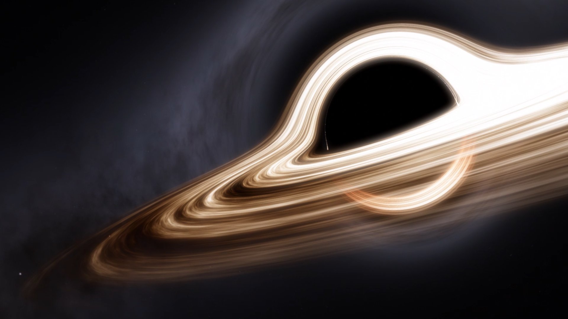 Kot_Nogato banner