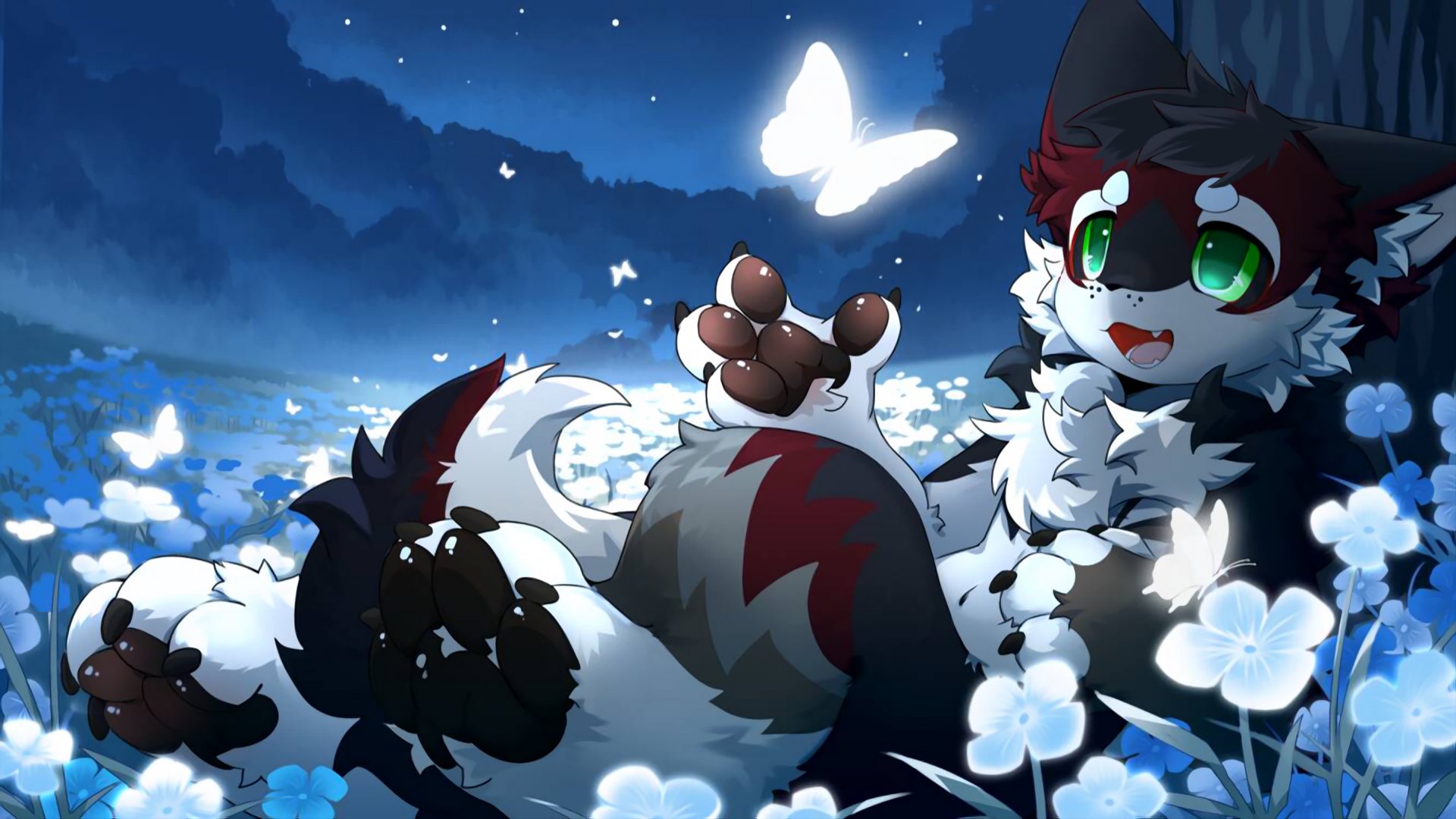 Koza_AB banner