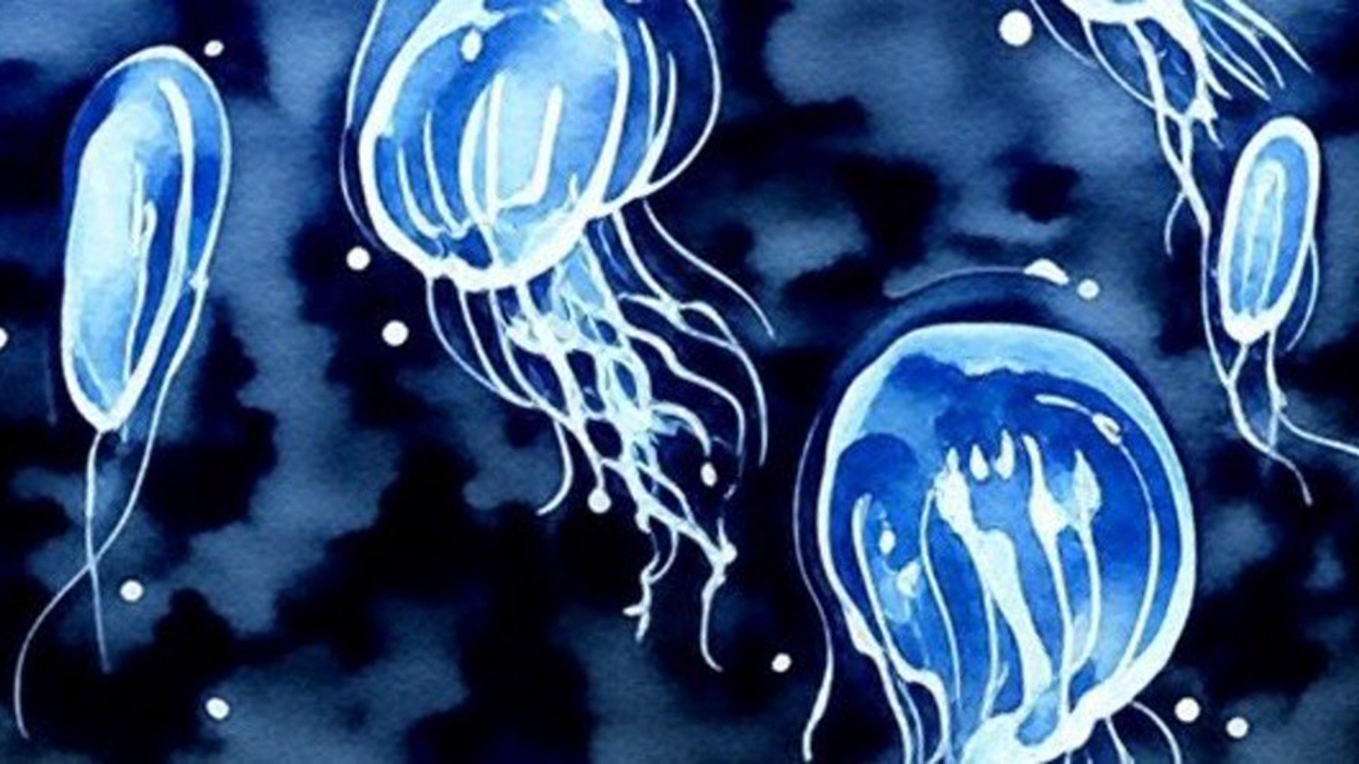 雨水くらげ banner