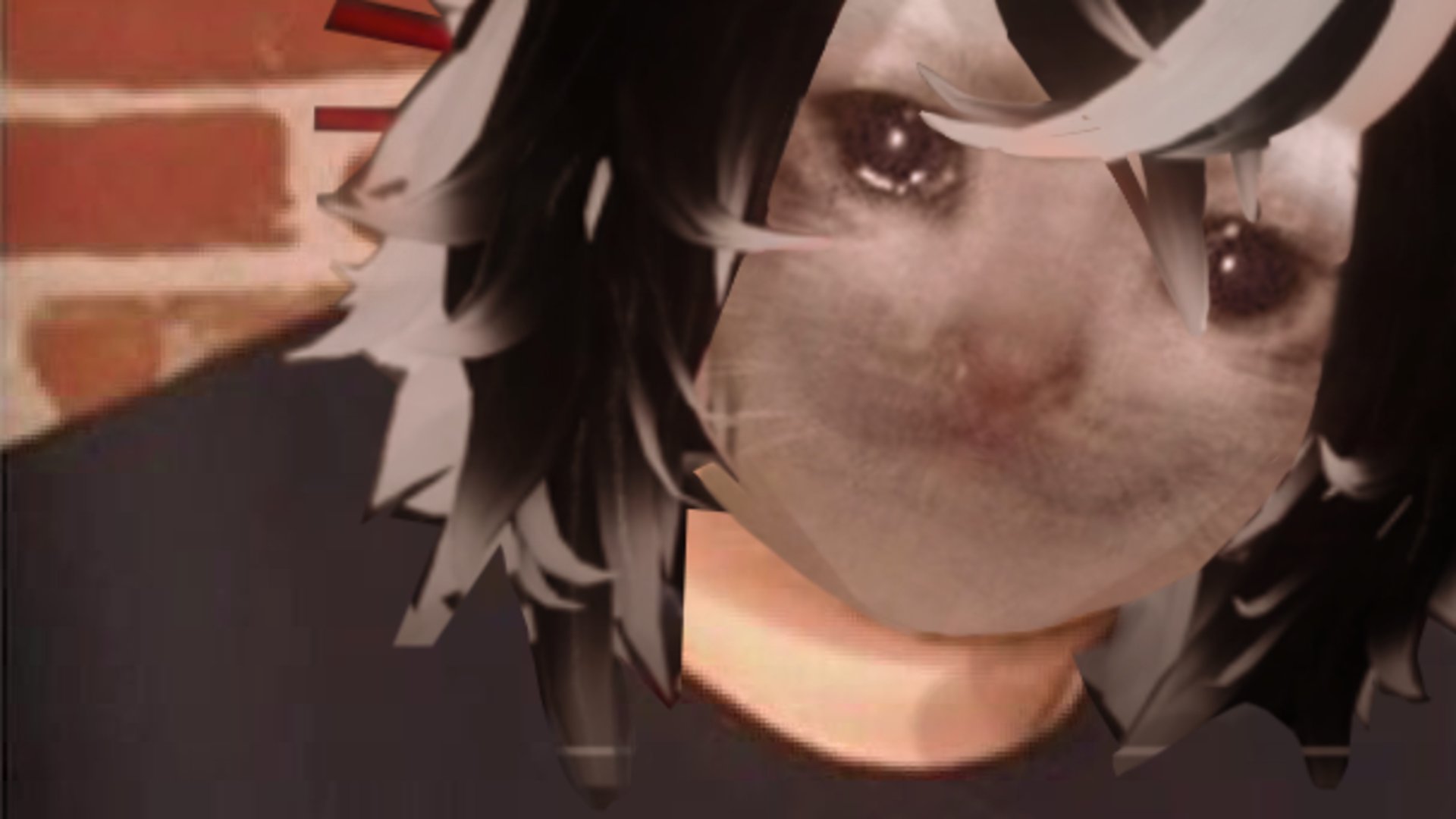 Kyokeru banner