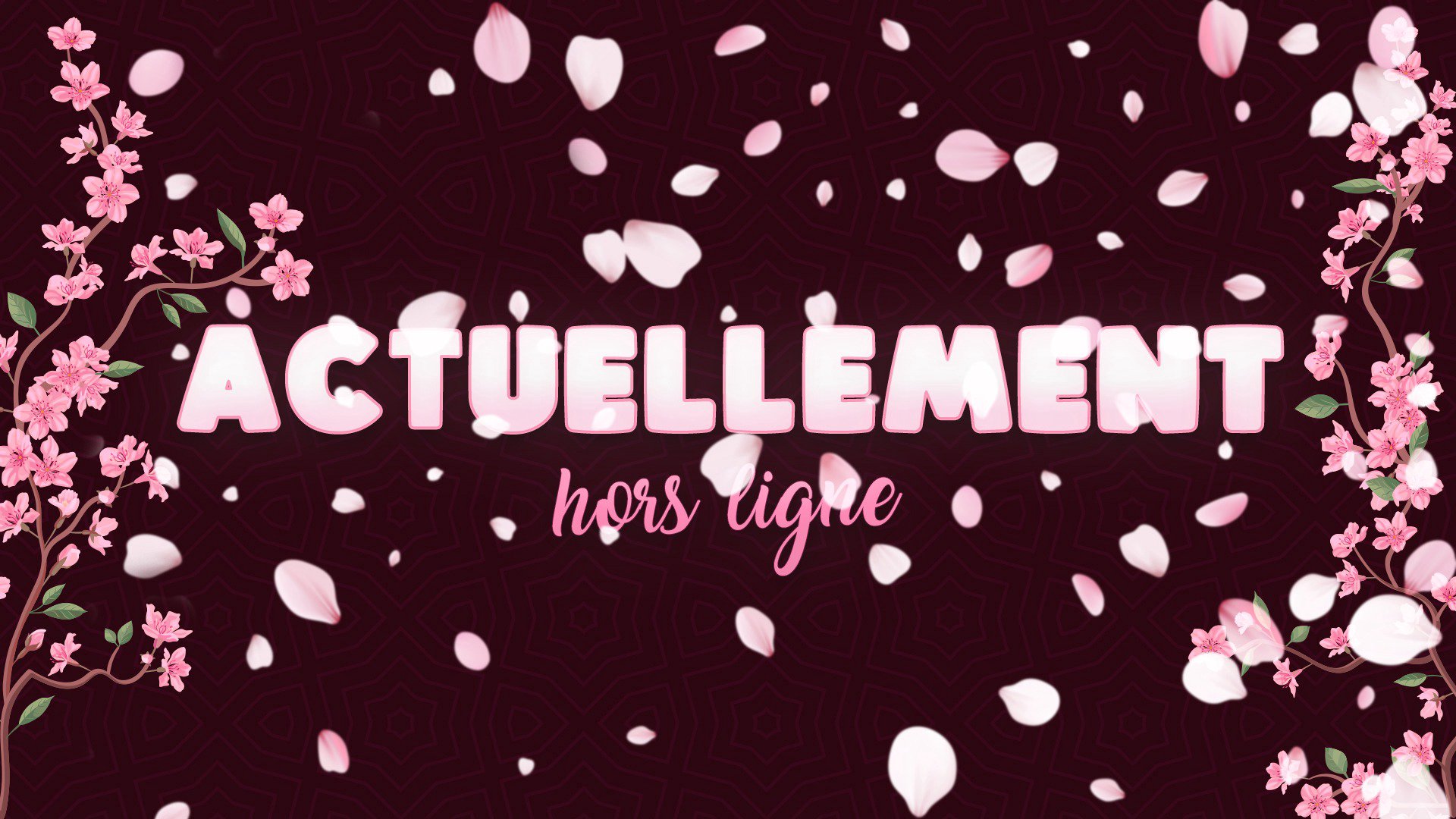 LabricotLolo banner